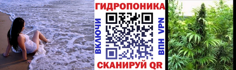 Лсд 25 Анадырь