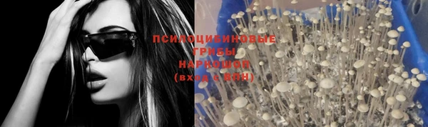 гашиш Пересвет