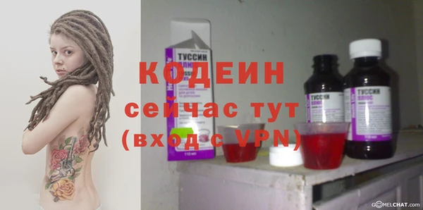 дживик Переславль-Залесский