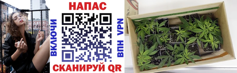 Шишки марихуана SATIVA & INDICA  Анадырь 